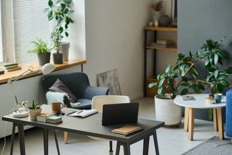 Un bureau à domicile moderne avec un ordinateur portable sur un bureau, une chaise, diverses plantes, une petite table d'appoint et des étagères en arrière plan.