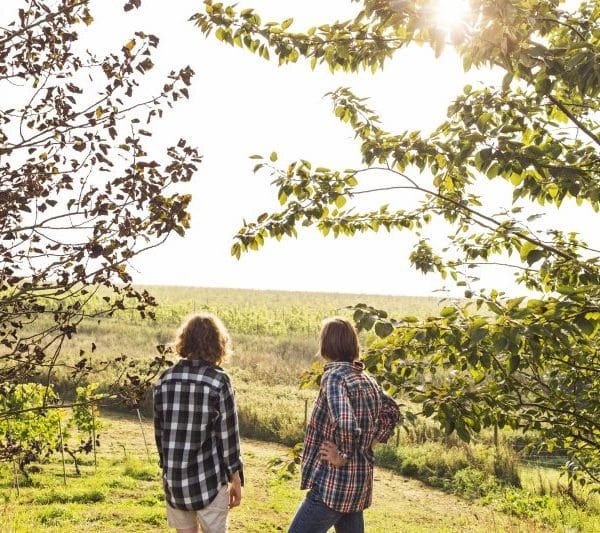 acheter un terrain viticole