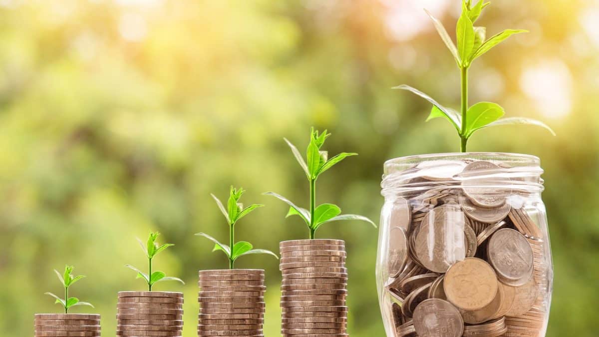 Un pot de pièces de monnaie dans lequel pousse une plante.