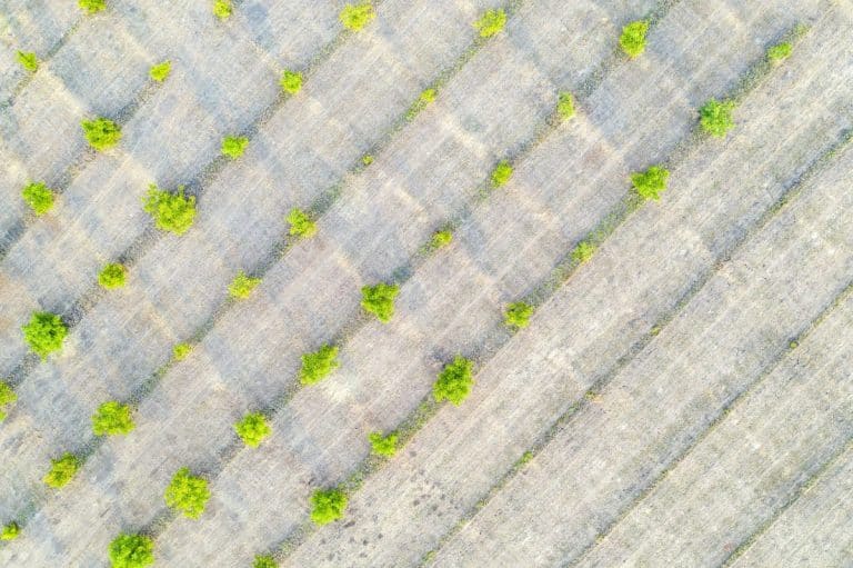 Terrain