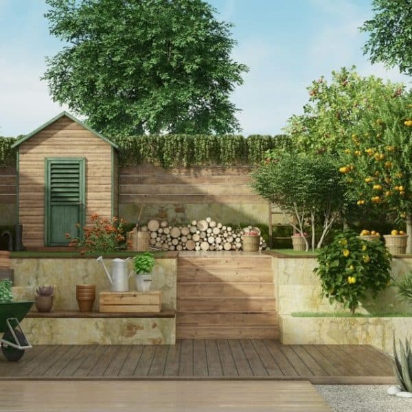 Jardin sur deux niveaux avec cabane en bois et arbre fruitier