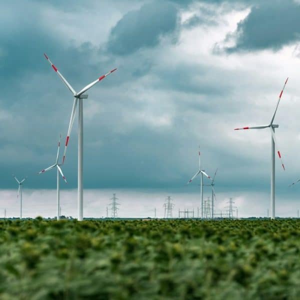 Un groupe de moulins à vent dans un champ.