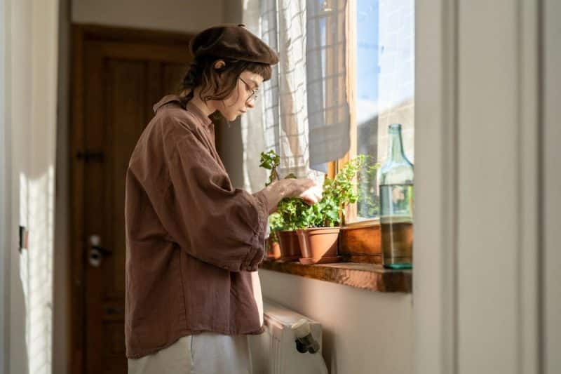Hipster girl examining leaves of houseplant, checking indoor plants for pests. Plant lovers.