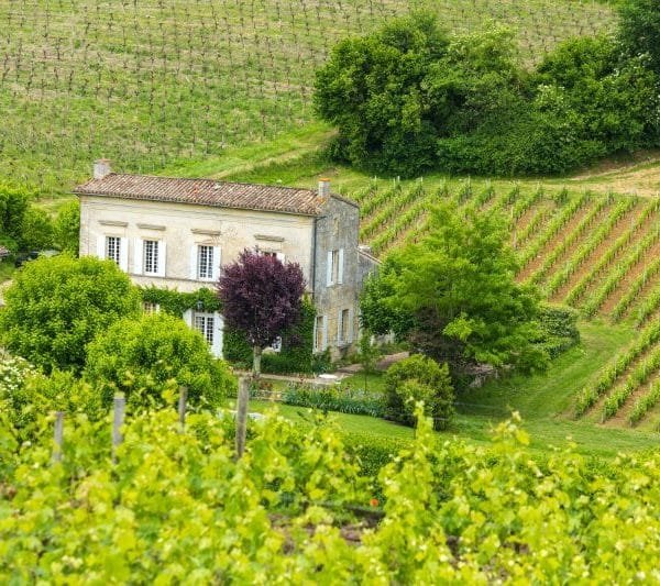 Maison et vignoble dans la région de Bordeaux, près de Saint-Émilion