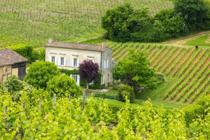 Maison et vignoble dans la région de Bordeaux, près de Saint-Émilion