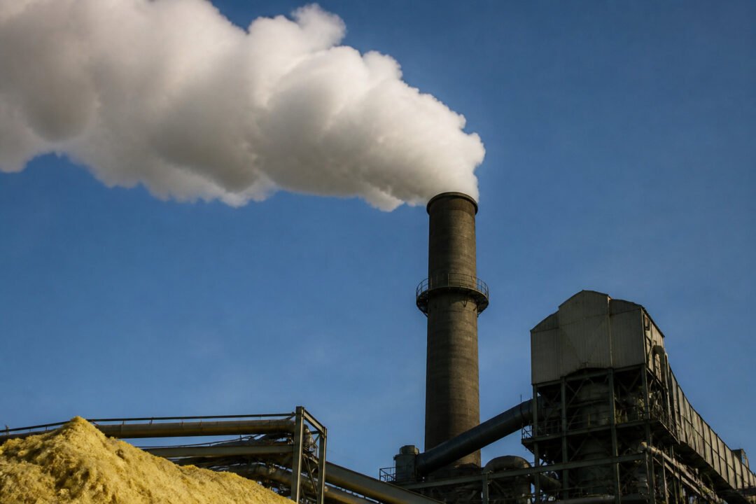Évaluer l'impact environnemental et le bilan écologique