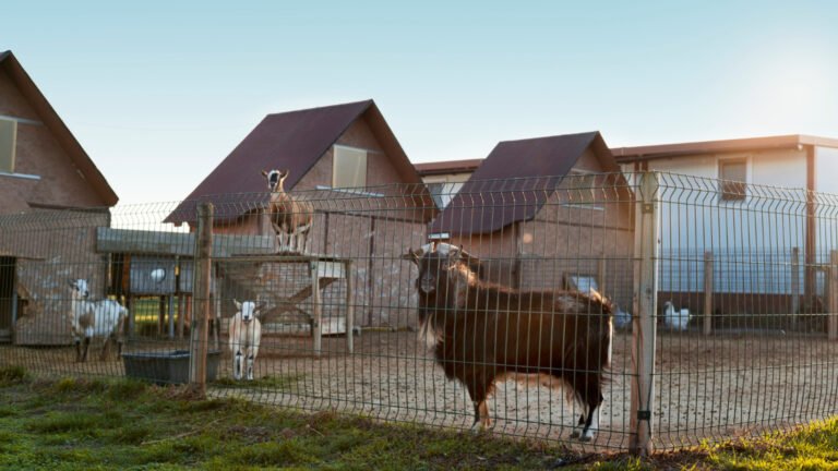 Installer une clôture agricole résistante pour protéger vos animaux