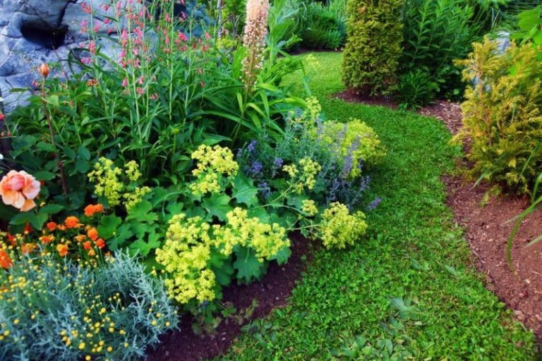 jardin estival