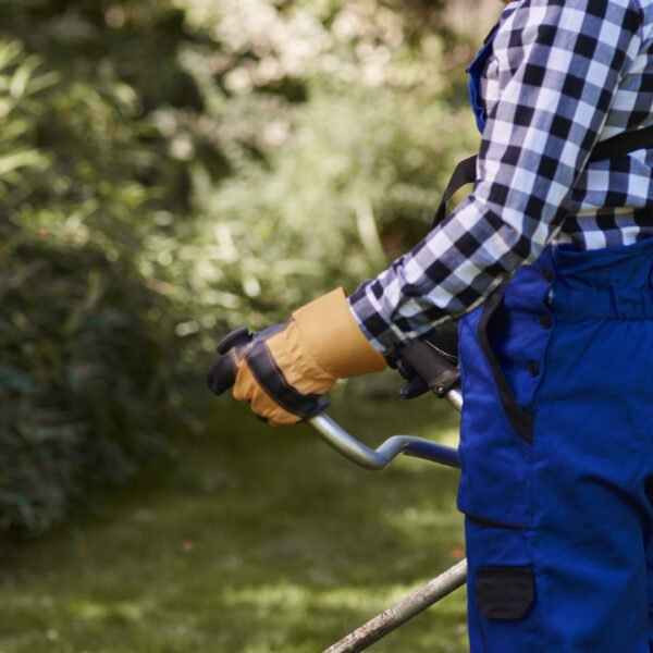 Jardinage à Amiens : louer plutôt qu’acheter, une stratégie avisée ?