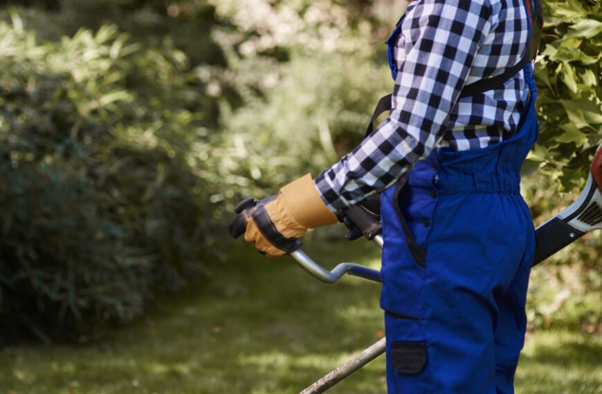 Jardinage à Amiens : louer plutôt qu’acheter, une stratégie avisée ?