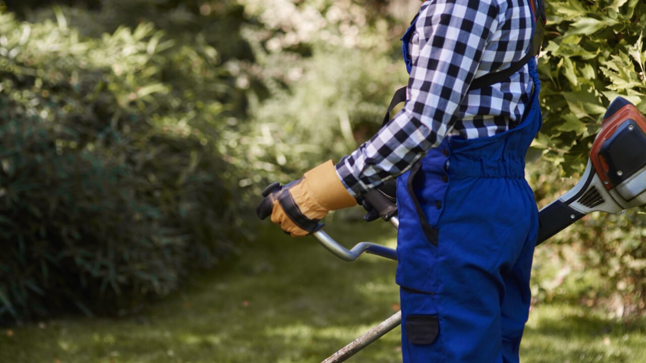 Jardinage à Amiens : louer plutôt qu’acheter, une stratégie avisée ?