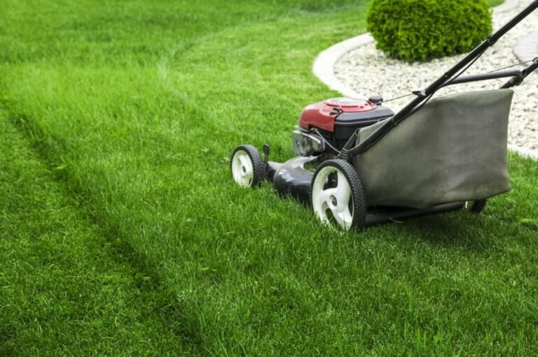 Une tondeuse à gazon rouge et noire en train de tondre l'herbe, laissant apparaître des lignes bien nettes là où l'herbe a été coupée. Des pierres décoratives et des buissons sont visibles à l'arrière-plan.