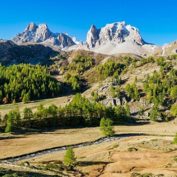 Vin du Rhône : les différents types de vins produits dans cette région