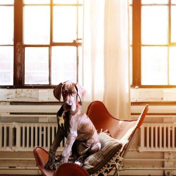 Radiateurs électriques : les différents types disponibles sur le marché