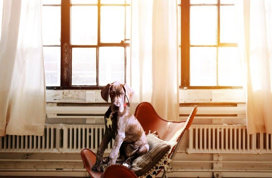 Radiateurs électriques : les différents types disponibles sur le marché