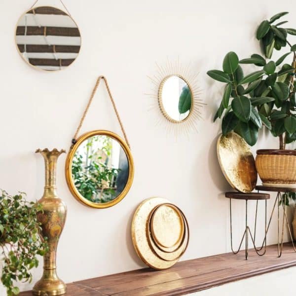 Stylish space with mirrors and plants: ficus benjamin, ficus elastica, Portulacaria.